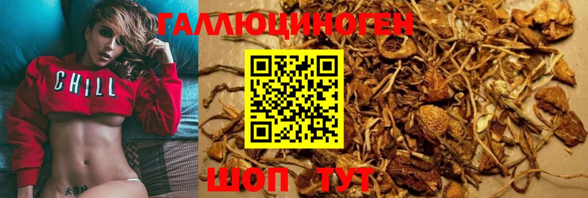 Галлюциногенные грибы Cubensis  хочу наркоту  Южноуральск  Галлюциногенные грибы MAGIC MUSHROOMS  Вход с VPN 